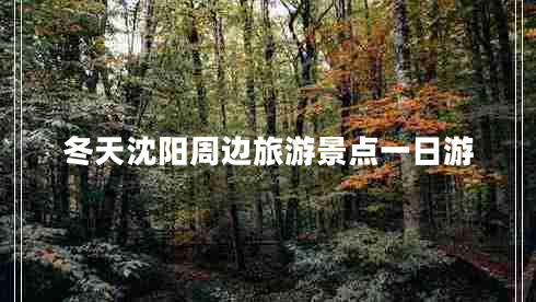 冬天沈阳周边旅游景点一日游