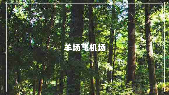 羊场飞机场