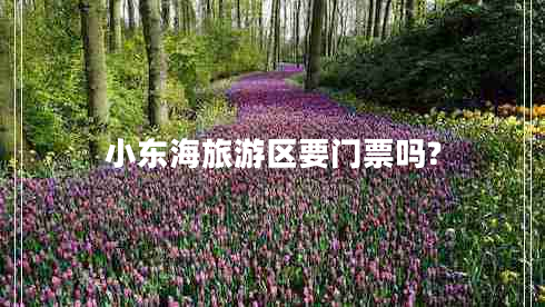 小东海旅游区要门票吗?