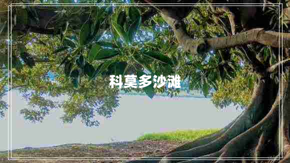 科莫多沙滩