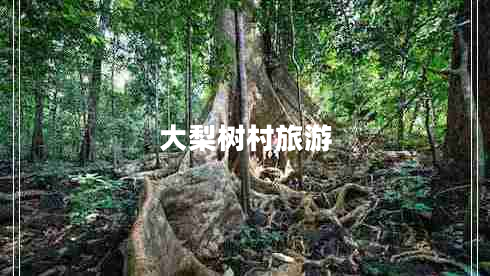 大梨树村旅游