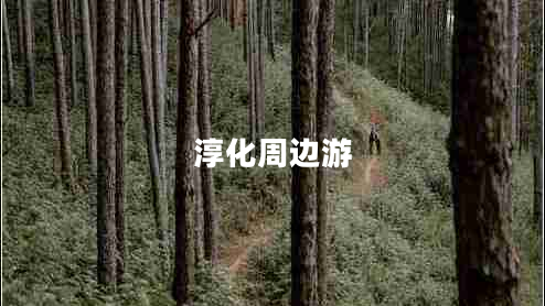 淳化周边游