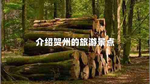 介绍贺州的旅游景点