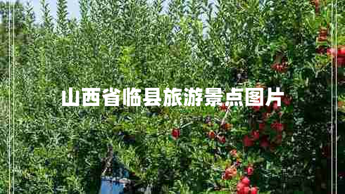 山西省临县旅游景点图片