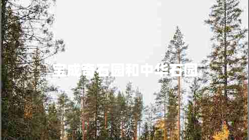 宝成奇石园和中华石园