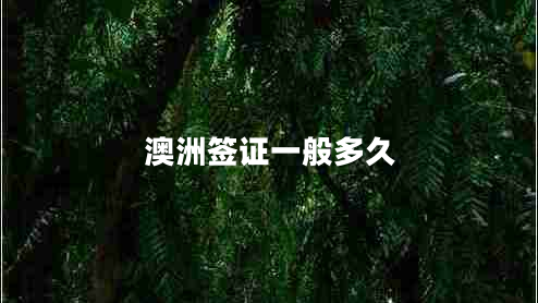 澳洲签证一般多久