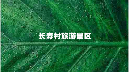 长寿村旅游景区