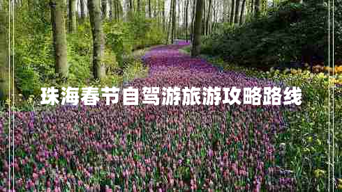 珠海春节自驾游旅游攻略路线