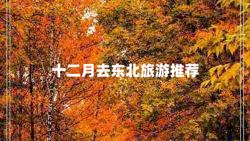 十二月去东北旅游推荐