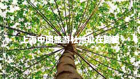 上海中国旅游社地址在哪里