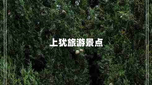 上犹旅游景点