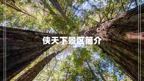 侠天下景区简介