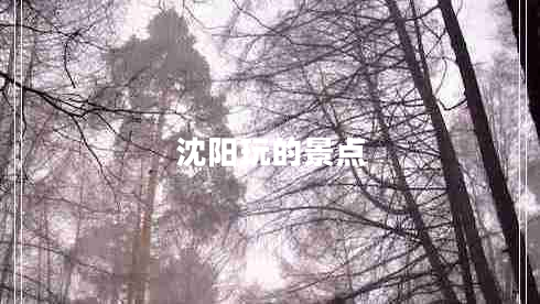 沈阳玩的景点