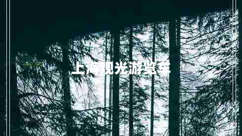 上海观光游览车
