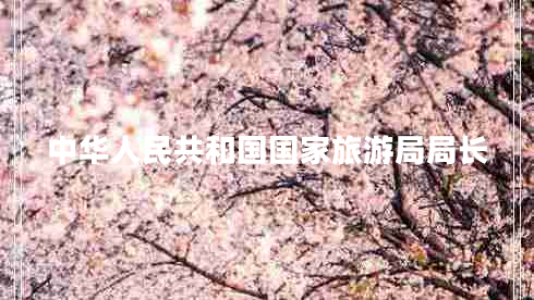 中华人民共和国国家旅游局局长