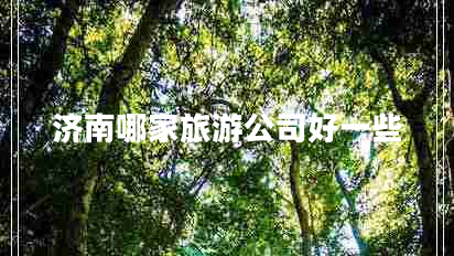 济南哪家旅游公司好一些