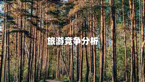 旅游竞争分析