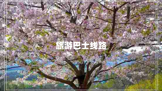 旅游巴士线路