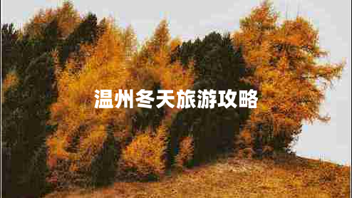 温州冬天旅游攻略