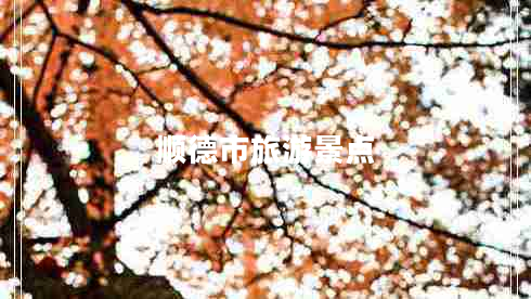 顺德市旅游景点