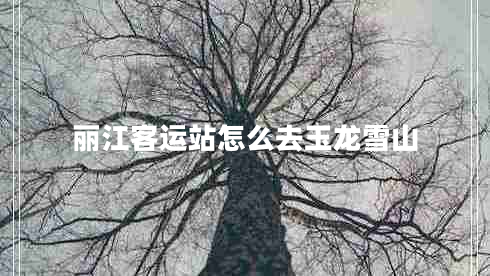 丽江客运站怎么去玉龙雪山