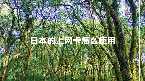 日本的上网卡怎么使用 日本的上网卡怎么使用