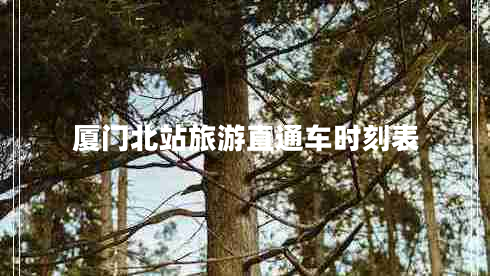 厦门北站旅游直通车时刻表