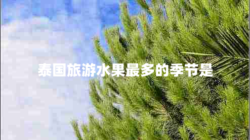 泰国旅游水果最多的季节是