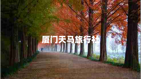 厦门天马旅行社 厦门天马旅行社