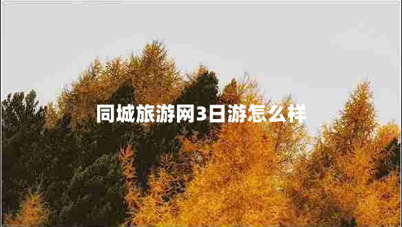 同城旅游网3日游怎么样