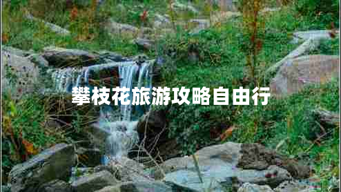 攀枝花旅游攻略自由行