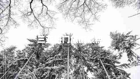 三亚热门旅游景点