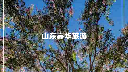 山东嘉华旅游