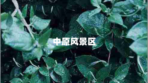 中原风景区