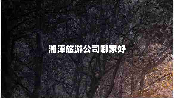 湘潭旅游公司哪家好