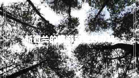 新西兰的旅游签证好办吗 新西兰的旅游签证好办吗