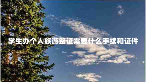 学生办个人旅游签证需要什么手续和证件