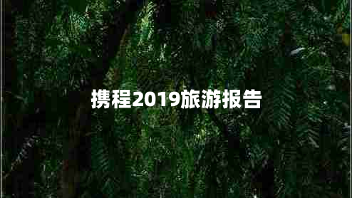 携程2019旅游报告