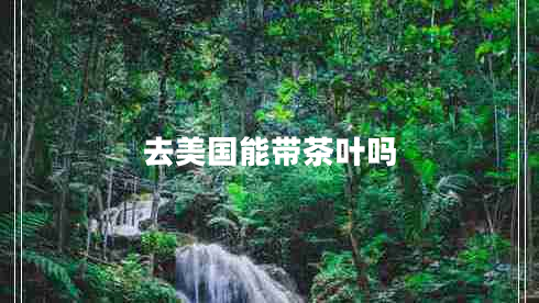 去美国能带茶叶吗