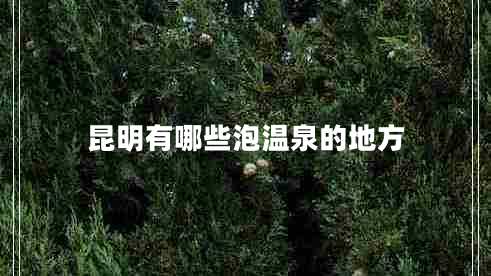 昆明有哪些泡温泉的地方