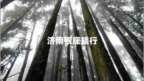济南银座旅行