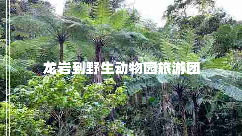 龙岩到野生动物园旅游团