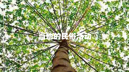 当地的民俗活动