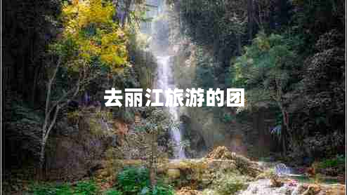 去丽江旅游的团