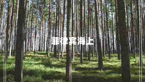 菲律宾海上