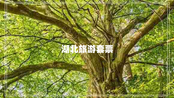 湖北旅游套票