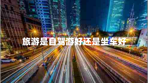 旅游是自驾游好还是坐车好