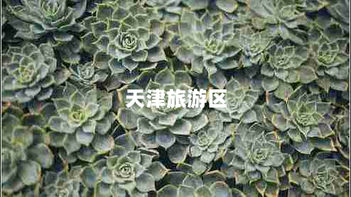 天津旅游区