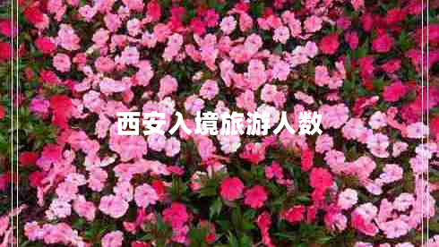 西安入境旅游人数