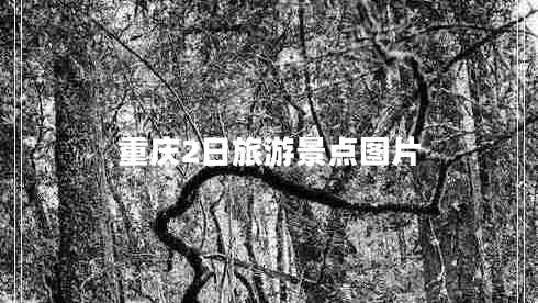 重庆2日旅游景点图片
